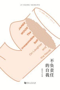 中国称泽伦基有关中国战机在乌克兰的言论“不负责任”