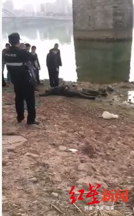 一名比利时母亲和她儿子的尸体在约旦南部山洪暴发后被发现